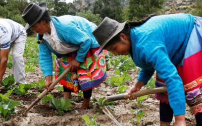 Las mujeres en el sector agropecuario sólo acceden a un 18% de su patrimonio